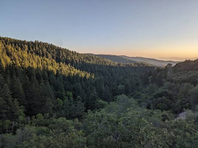 Mexican Canyon Railroad Trestle - Image 1