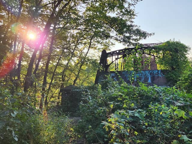Schell Bridge - Image 2