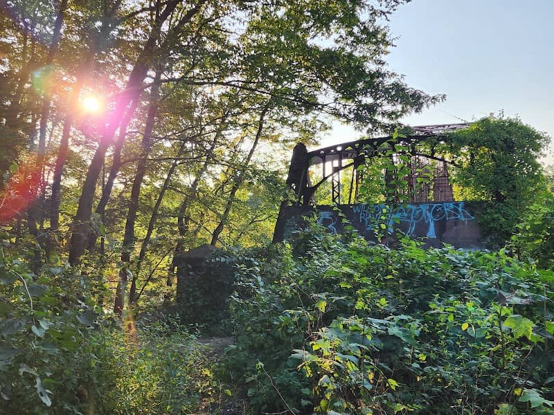 Schell Bridge - Image 2