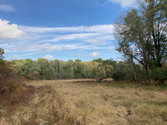 Lake Park Wildlife Area - Image 2