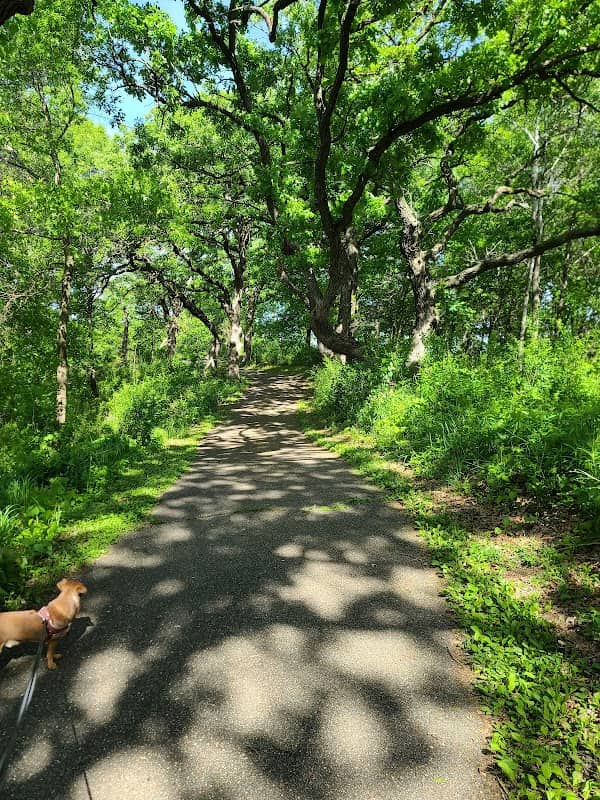 Kelleher Park - Image 2