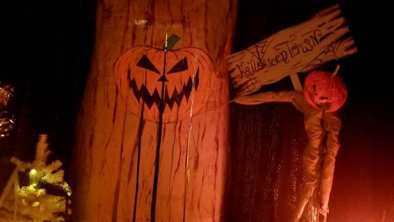 Haunted Hollow Family Spook Alley - Image 3