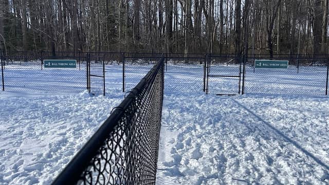 Schutte Dog Park - Image 2