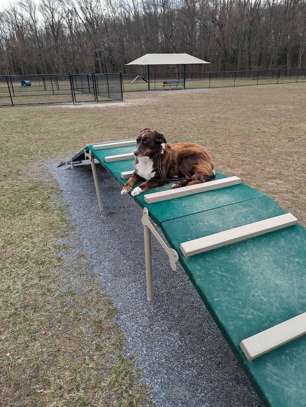 Schutte Dog Park - Image 1