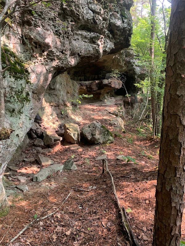 Sasquatch’s Sanctuary Cave - Image 1