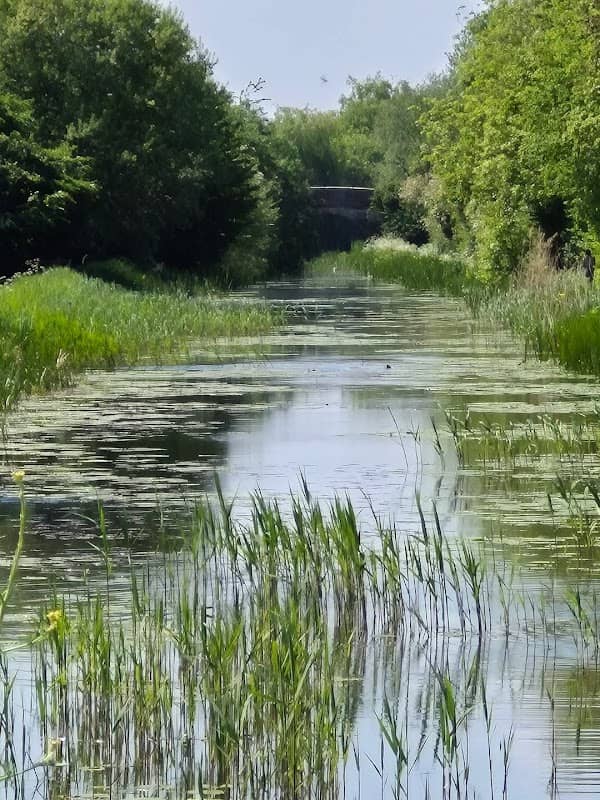 Terrapin Trail - Image 1