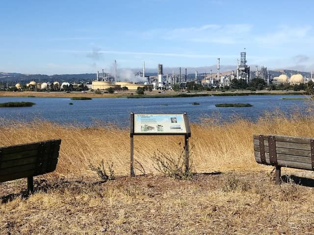 Waterbird Regional Preserve - Image 3