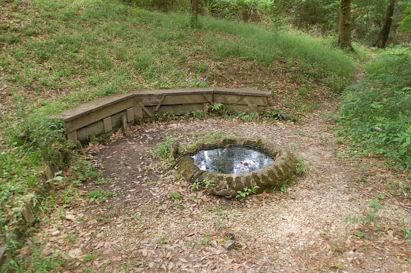 Spring Park - Image 1