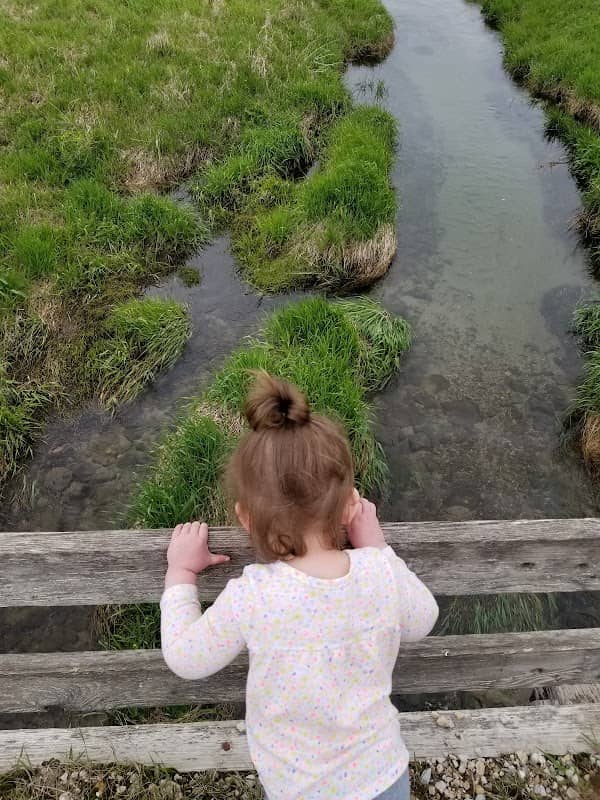 Irwin Avenue Stream - Image 2