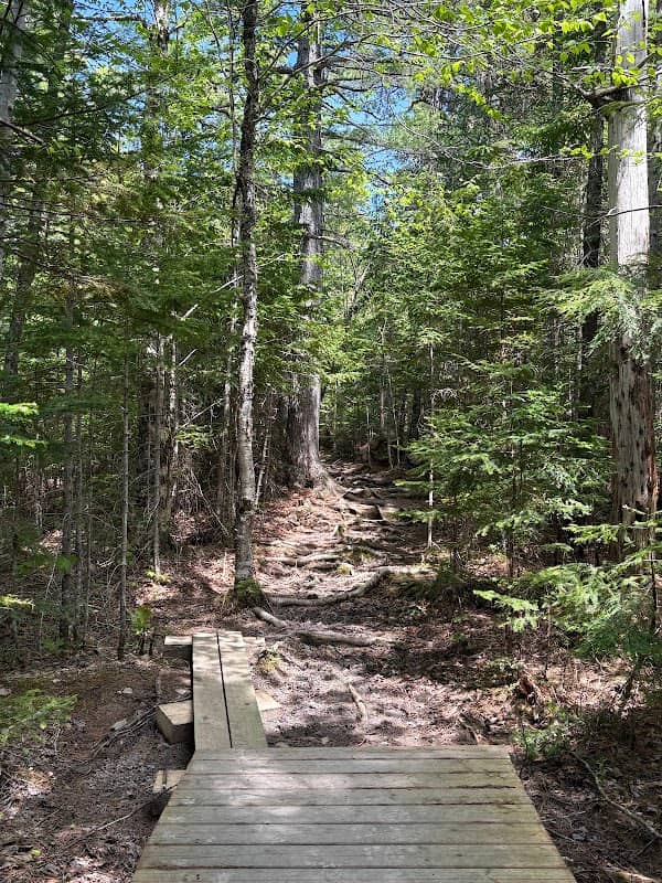 Embree's Brook Falls - Image 1