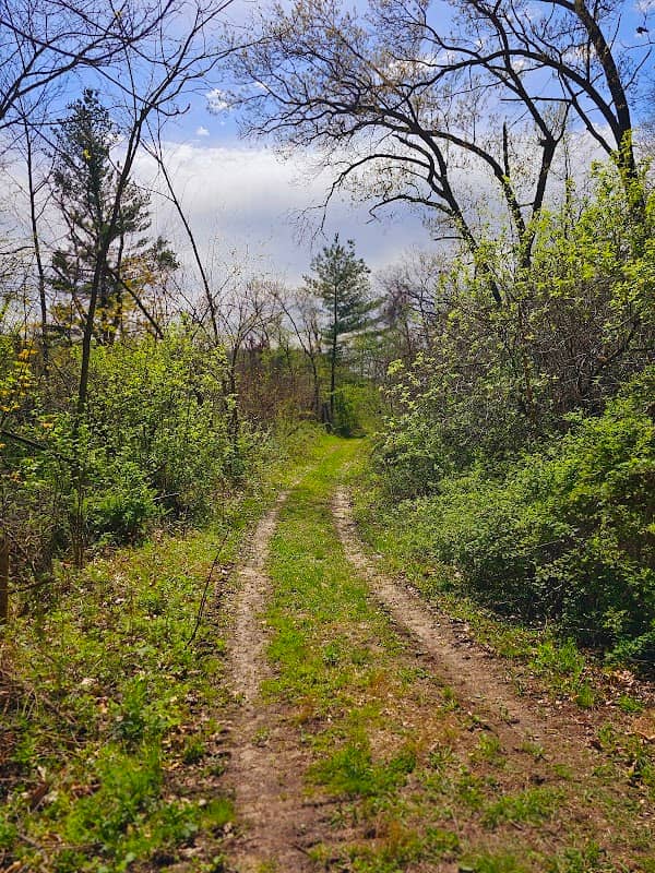 Boscobel Bluffs State natural Area - Image 1
