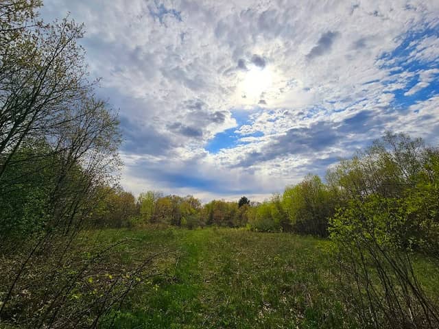 Boscobel Bluffs State natural Area - Image 3