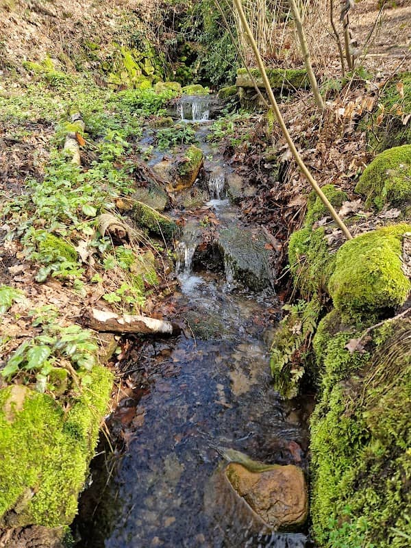 Oelmühlenweg Teich und Bach - Image 1