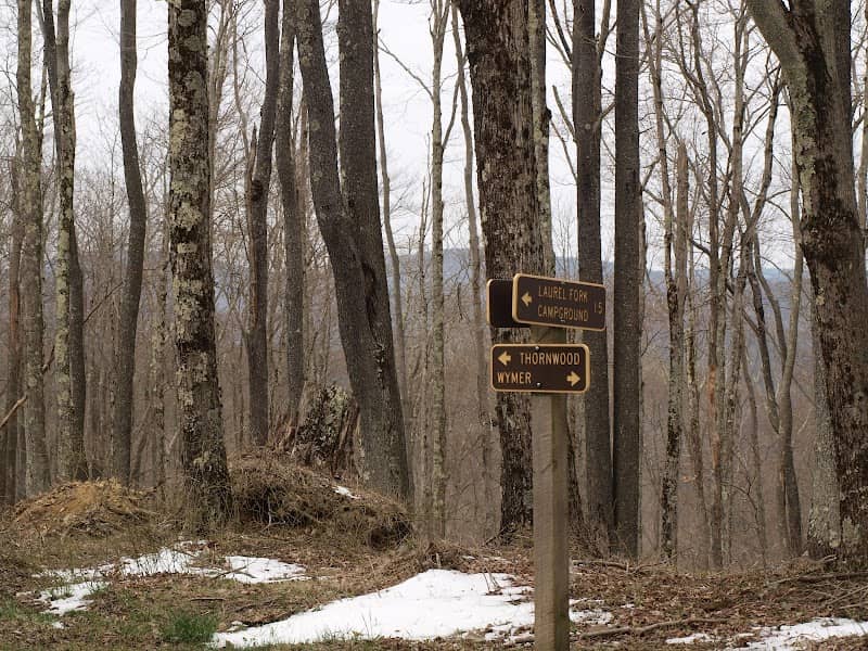 Laurel Fork North Wilderness - Image 2