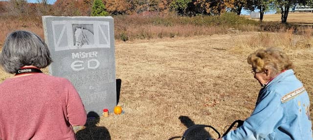 Mister Ed's Grave - Image 2