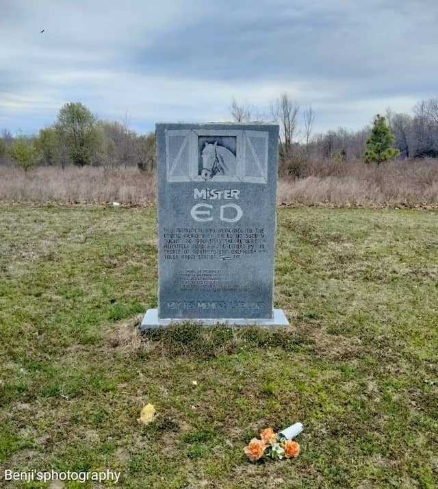 Mister Ed's Grave - Image 3