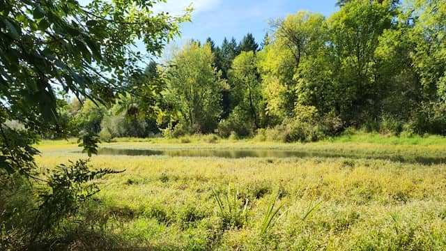 Big Pond - Image 3