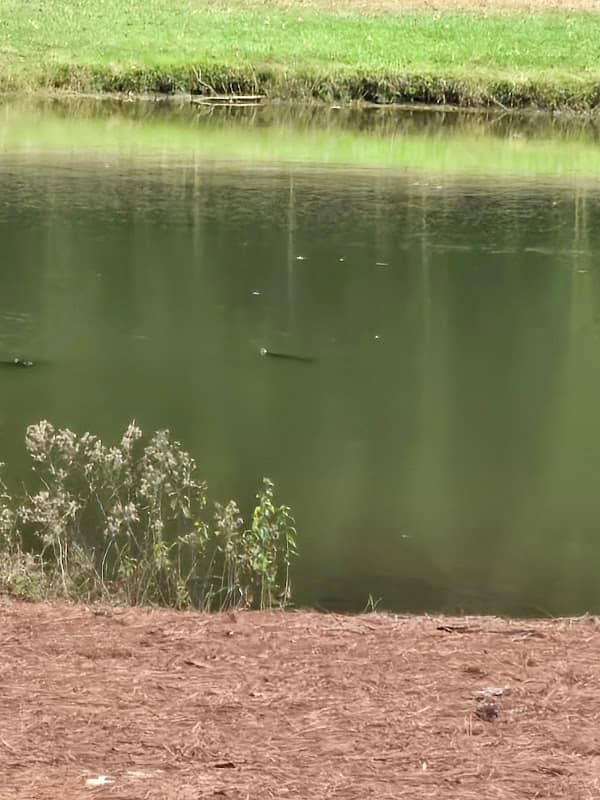 Lakeside Park - Image 2