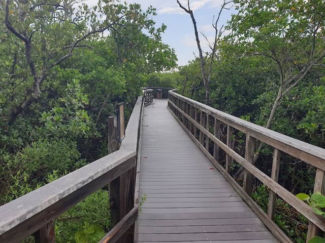 Indian Rocks Beach Nature Preserve - Image 1