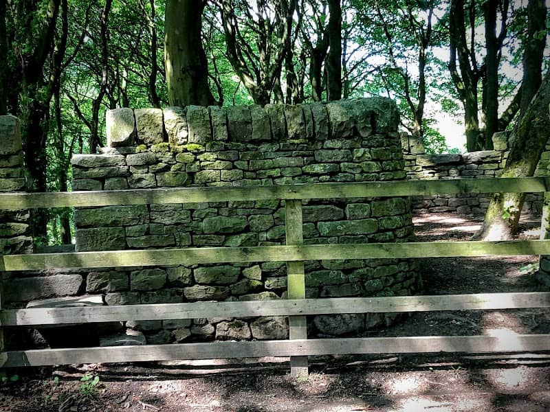 Tipping Hill Wood - Image 1