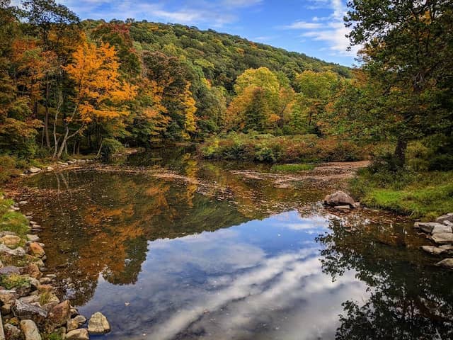 Laurel Hill State Park - Image 1