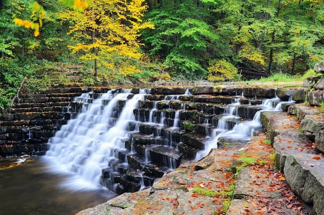 Laurel Hill State Park - Image 3