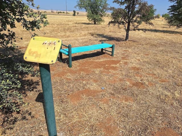 Ryden Park Trail - Image 1