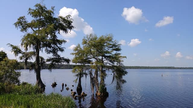 Singletary Lake State Park - Image 2
