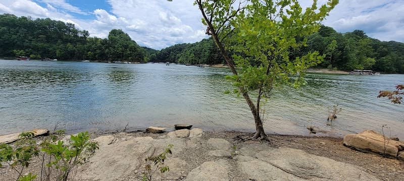 Mogg Rd trail to the lake - Image 1