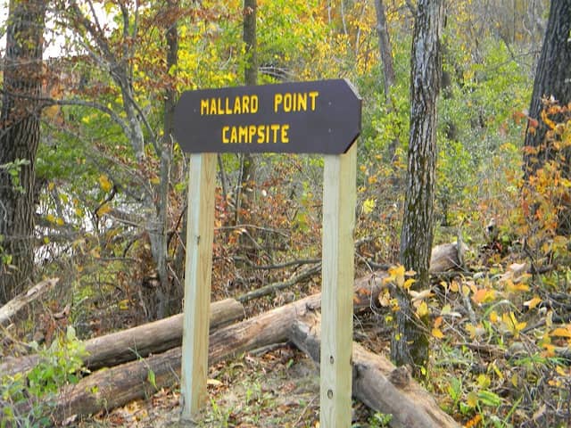 Mallard Point Remote Canoe-in Campsite - Image 2