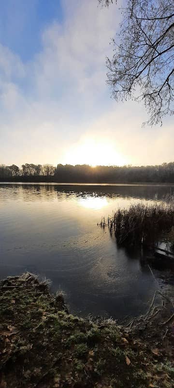 Trebuser See - Image 1