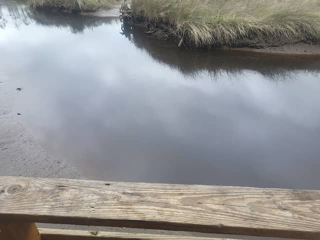 Riverside Park - Image 1