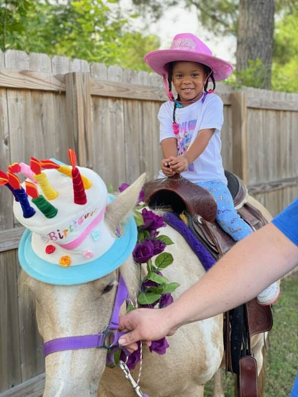The Pony Patch - Image 1