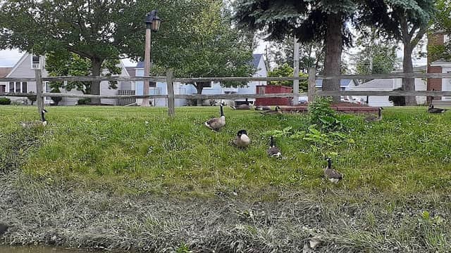 Charles Lederer Park - Image 1
