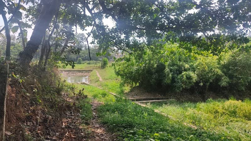 Manjaali Pond - Image 1