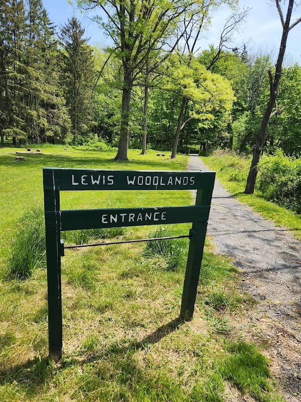 The Madison Lewis Woodlands - Image 2