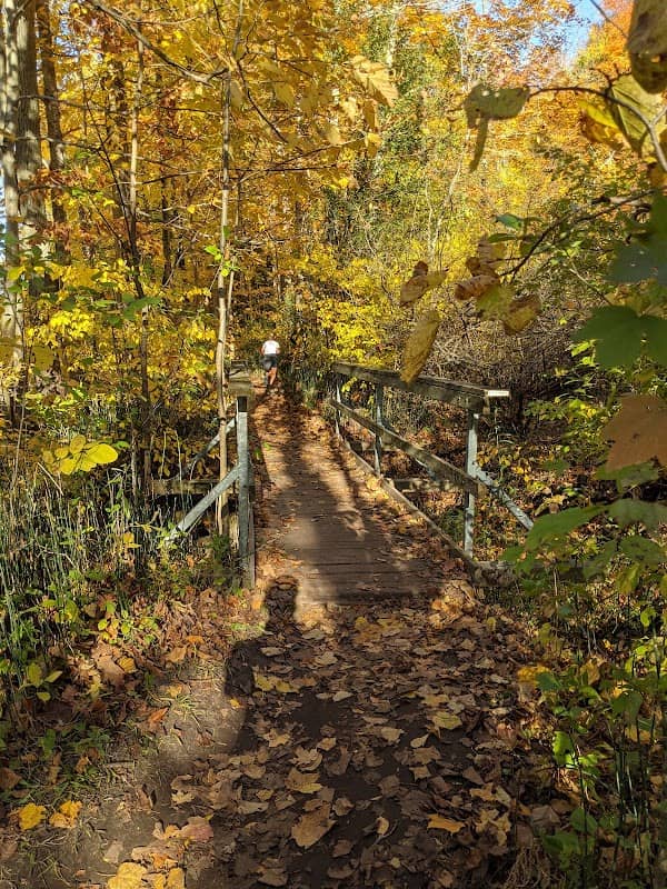 Kains Woods - Image 1