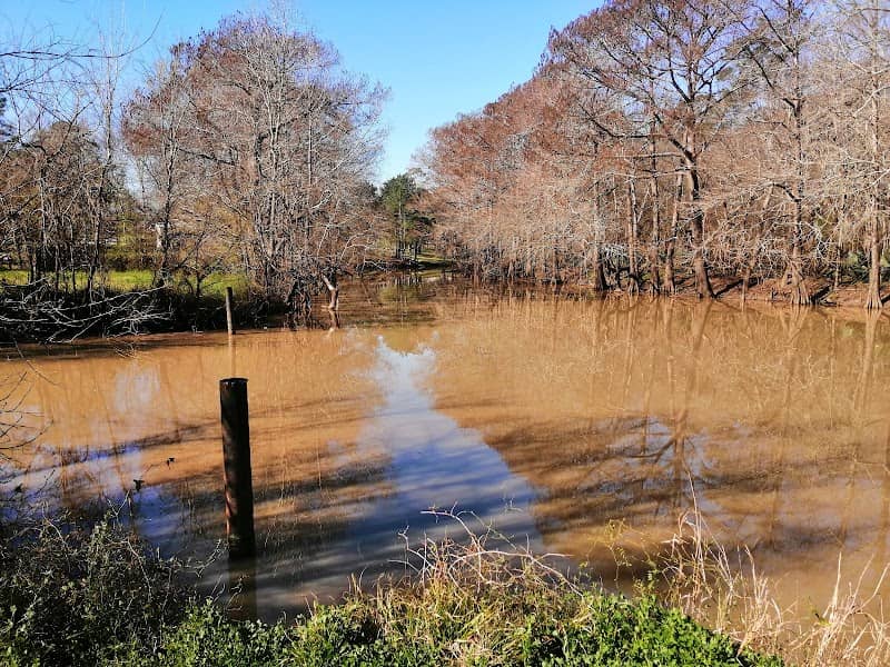 Joe Matthews Park - Image 2