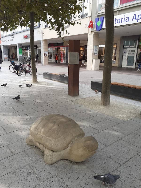 Schildkröte Skulptur - Image 1