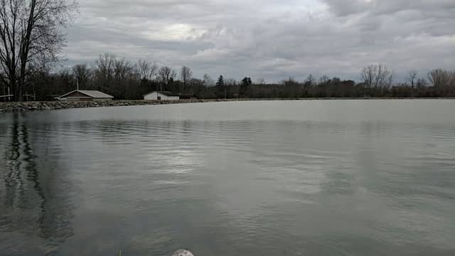 pond - Image 1