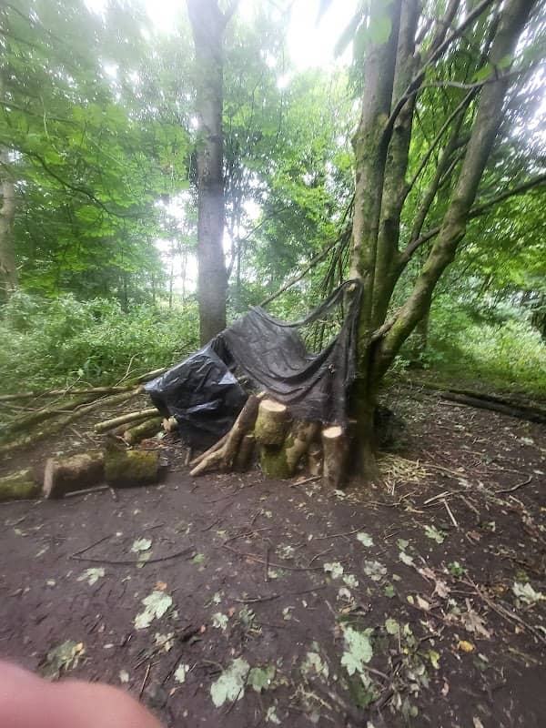 George's Wood Ainsworth - Image 1