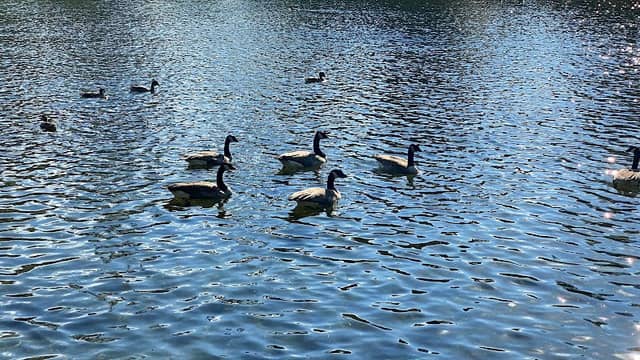 Childrens Lake - Image 2