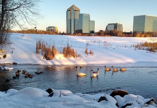 Normandale Lake Park - Image 3