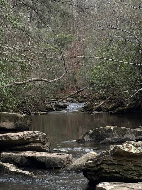 Upper Piney Falls - Image 2