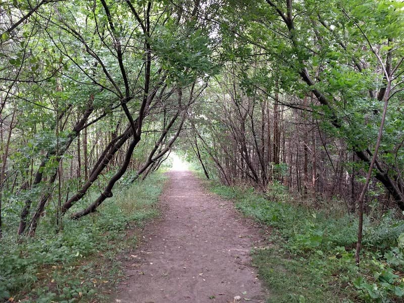 Little Lake Park - Image 1