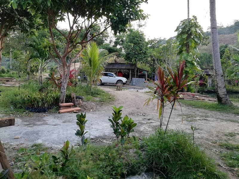 Pondok Budaya Ayus Piala - Image 2