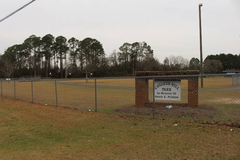 College Hill Park - Image 1
