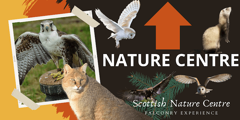 Scottish Nature Centre - Image 1