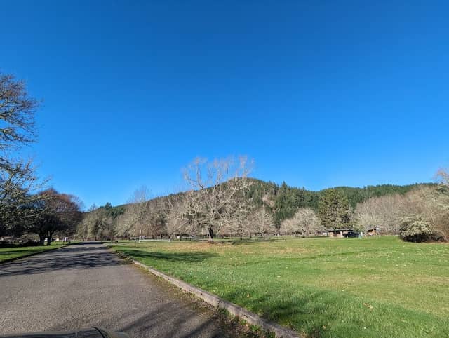 Sunnyside Park - Image 1