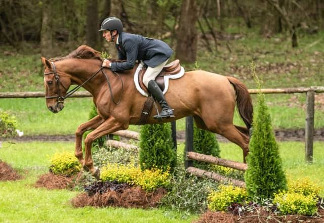Aiken Horse Show grounds - Image 1